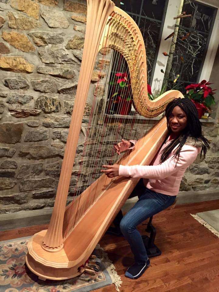 Veronica Greenan Music Studio: Harp Lessons, Piano Lessons | Kneeland Ave, Yonkers, NY 10705, USA