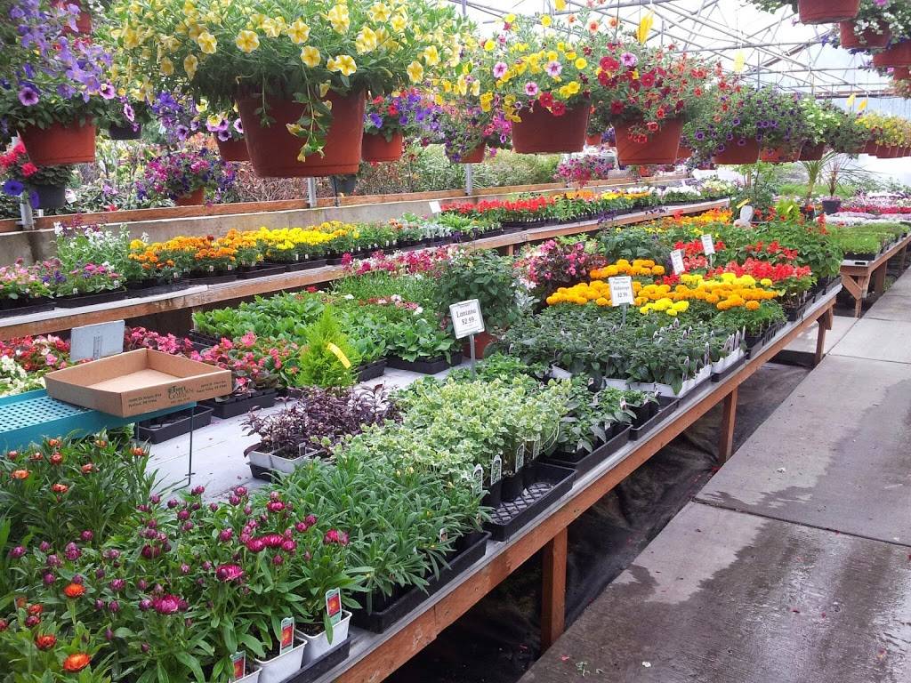 Tonys Garden Center | 10473 SE 172nd Ave, Happy Valley, OR 97086, USA | Phone: (503) 658-1844