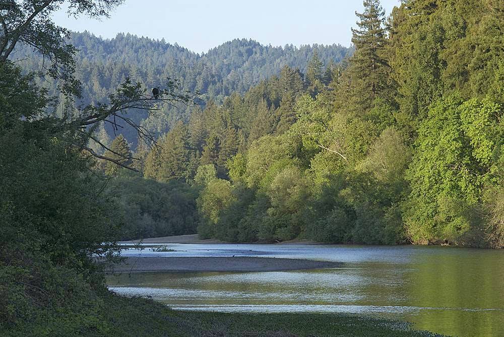 Guerneville Lodge | 15905 River Rd, Guerneville, CA 95446, USA | Phone: (707) 869-0102