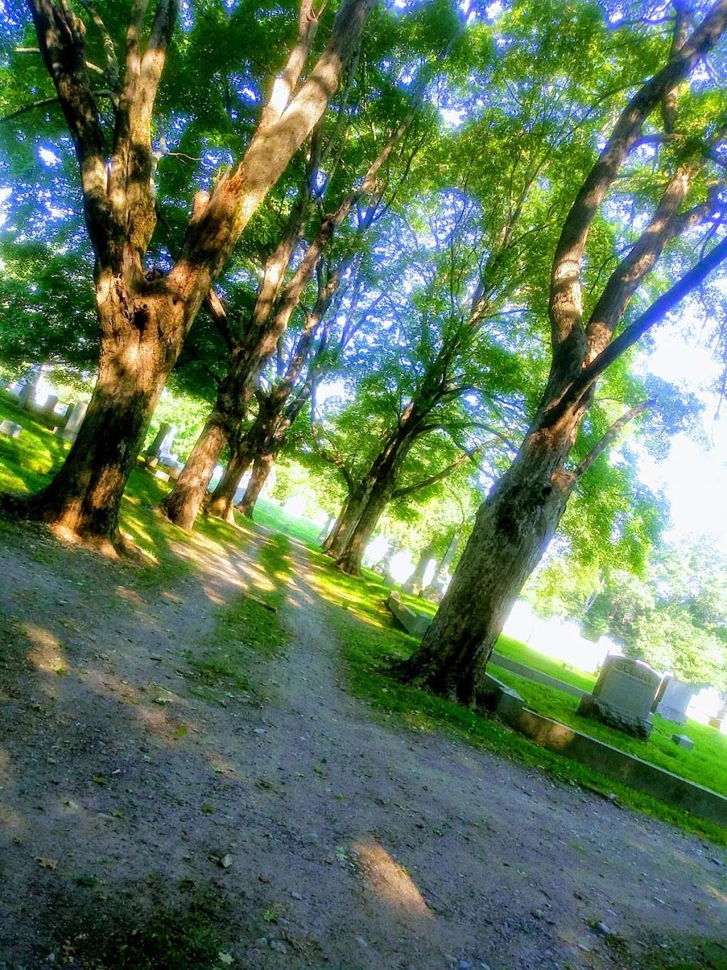 Mount Hope Cemetery | 565 Mt Hope St, North Attleborough, MA 02763, USA | Phone: (508) 699-2141