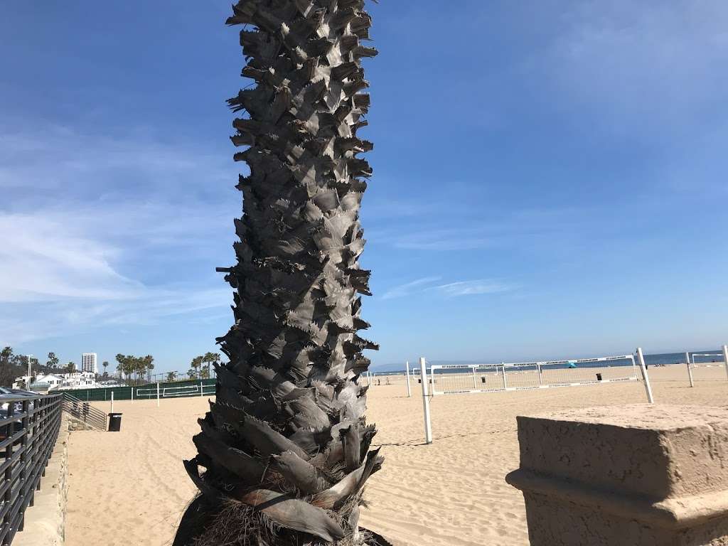 Will Rogers Beach | Santa Monica, CA 90402, USA