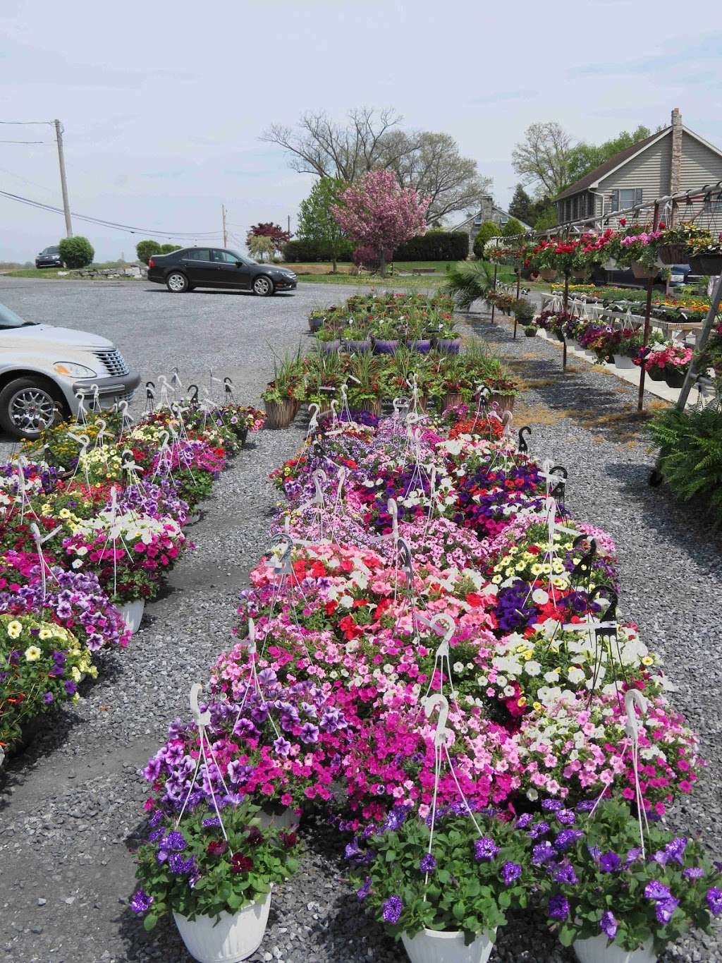 Leabrook Flowers | 2348 Leabrook Rd, Lancaster, PA 17601, USA | Phone: (717) 926-4866