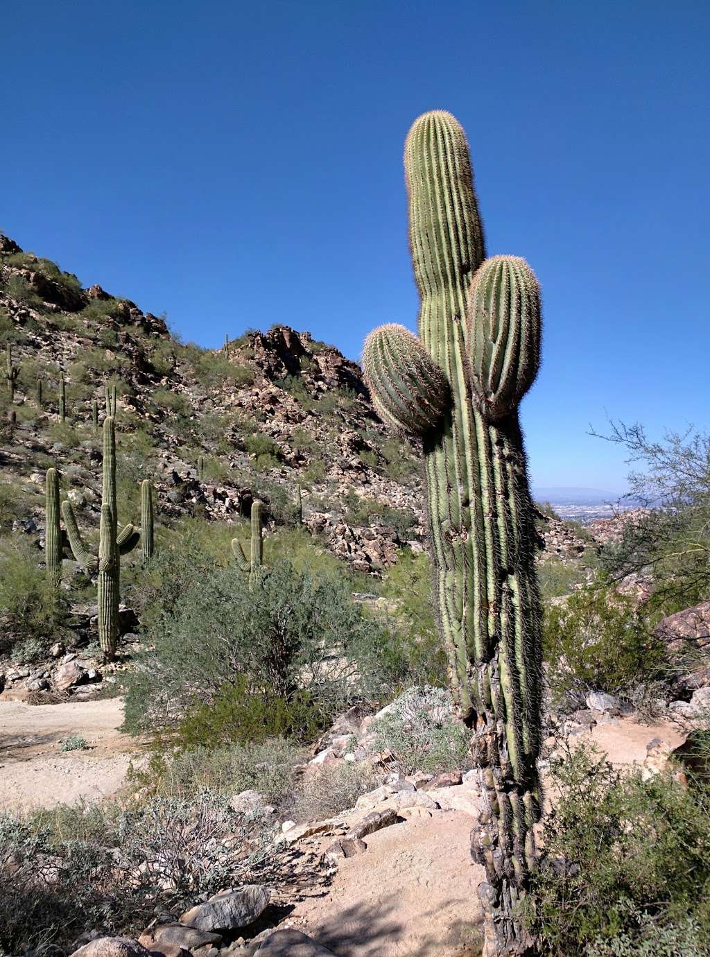 South Mountain Park and Preserve | 10919 S Central Ave, Phoenix, AZ 85042, USA | Phone: (602) 495-5458