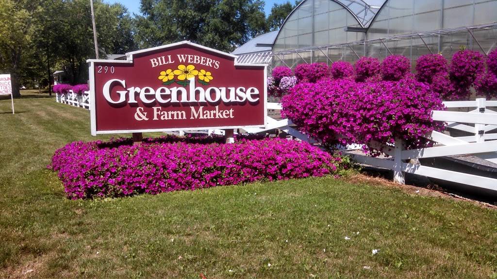 Bill Webers Greenhouse & Farm Market | 290 French Rd #1315, West Seneca, NY 14224, USA | Phone: (716) 822-8811