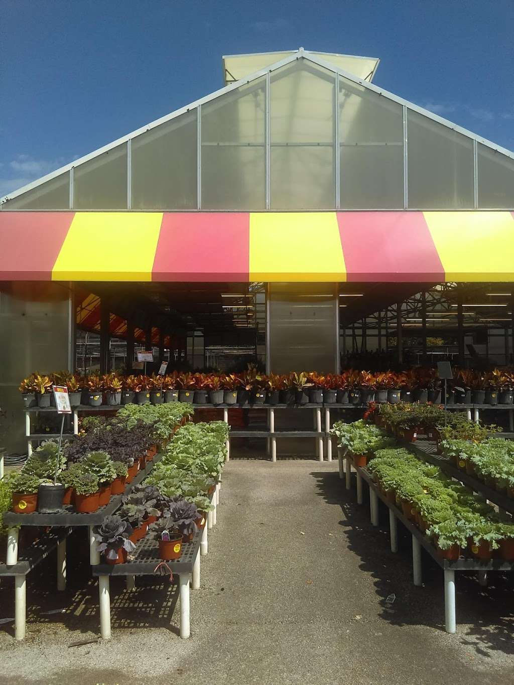 Houston Garden Center | 23260 Northwest Fwy, Cypress, TX 77429, USA | Phone: (281) 373-2239