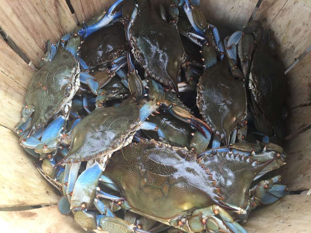 Maryland Crab Boys, LLC | 7158 Brooks Rd, Highland, MD 20777, USA | Phone: (301) 974-7174