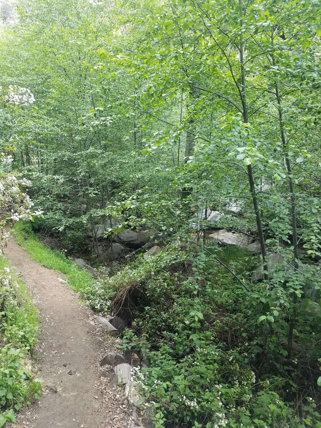 Sunset Ridge Trail | Sunset Ridge Trail, Altadena, CA 91001, USA