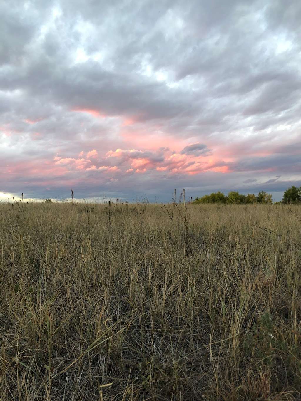 Vogel Pond Open Space | Westminster, CO 80234, USA