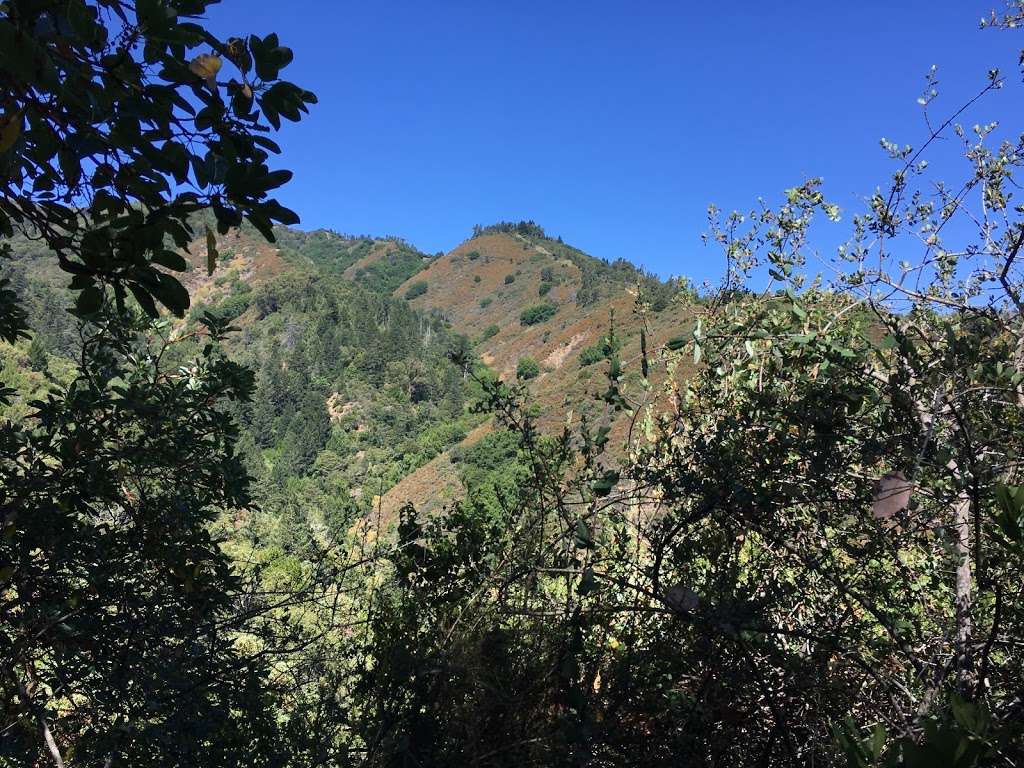 Uvas Canyon County Park | 8515 Croy Rd, Morgan Hill, CA 95037, USA | Phone: (408) 779-9232