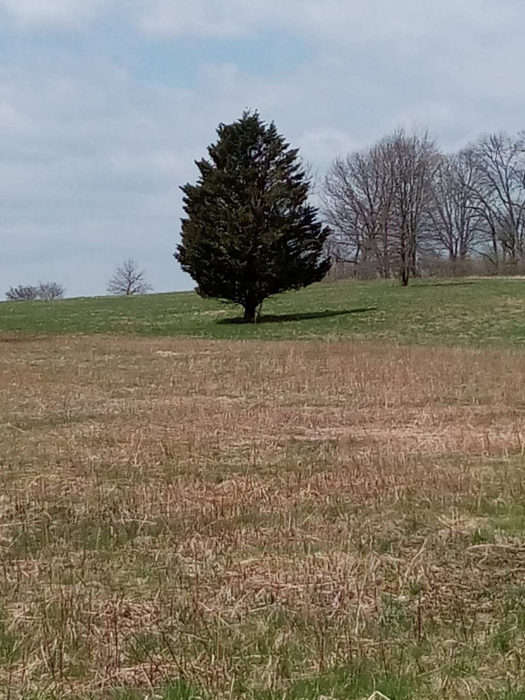 Wyomissing Park System Picnic Area | 1939-1983 Old Wyomissing Rd, Wyomissing, PA 19610, USA