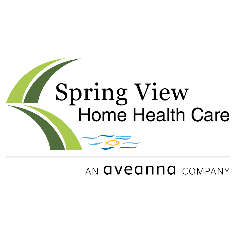 Spring View Home Health Care | 1050 E Flamingo Rd suite n-237, Las Vegas, NV 89119, USA | Phone: (702) 463-0300