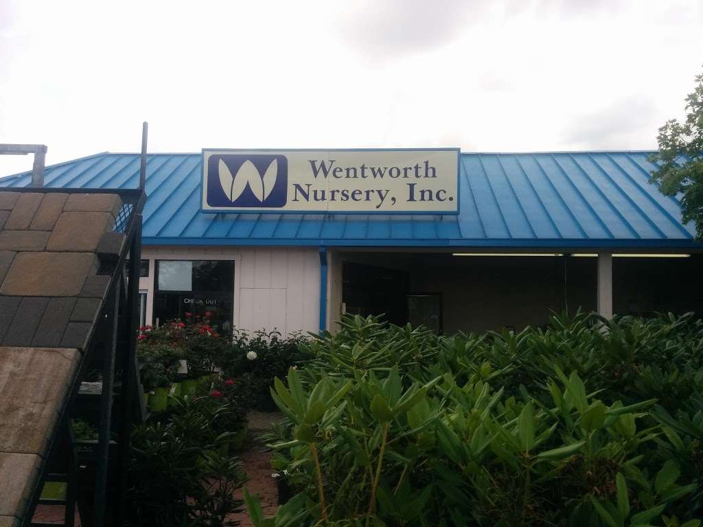 Wentworth Nursery | 30315 Three Notch Rd, Charlotte Hall, MD 20622, USA | Phone: (301) 884-5292