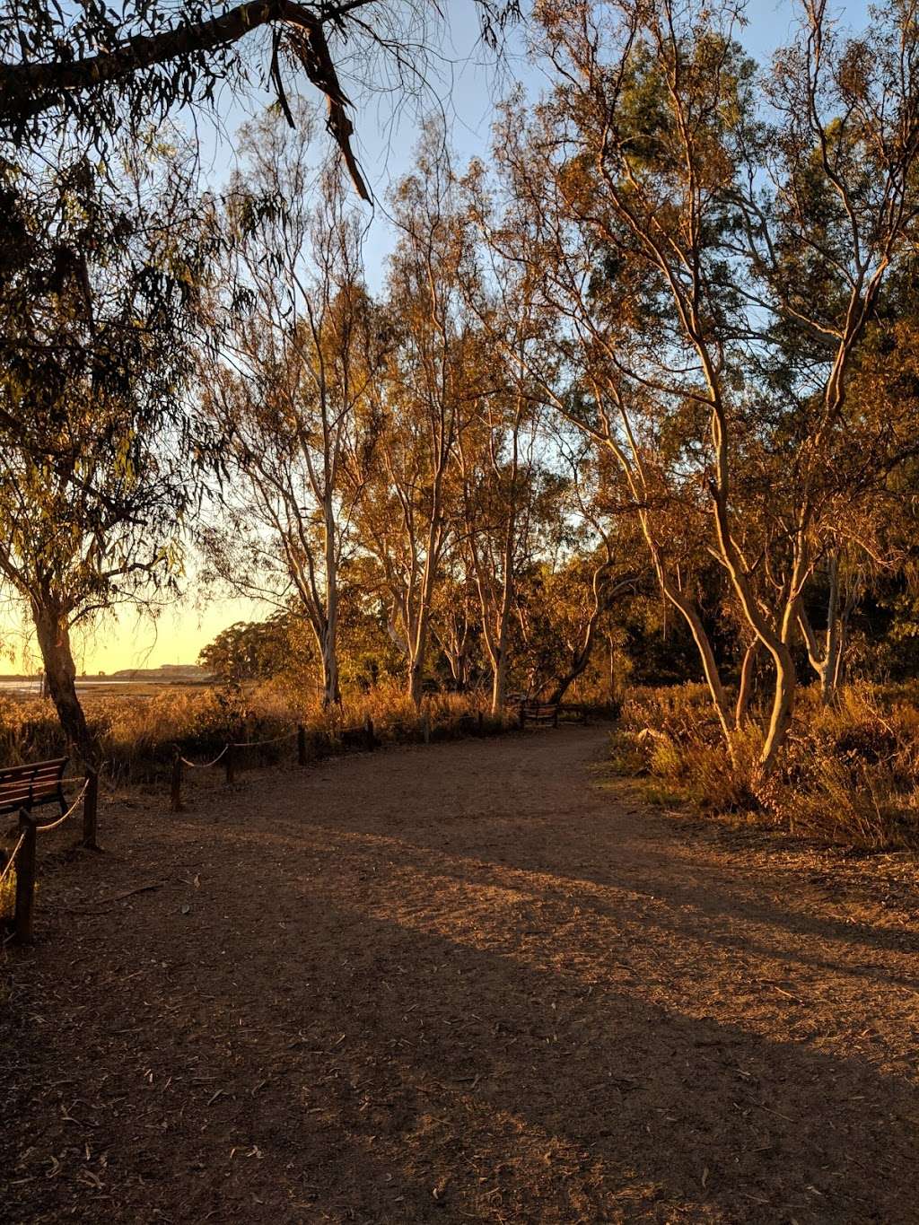 Batiquitos Lagoon Trail Parking Lot | Carlsbad, CA 92011, USA