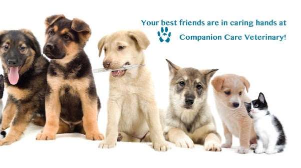 Companion Care Veterinary Services | 504 TX-342, Red Oak, TX 75154, USA | Phone: (972) 576-8850