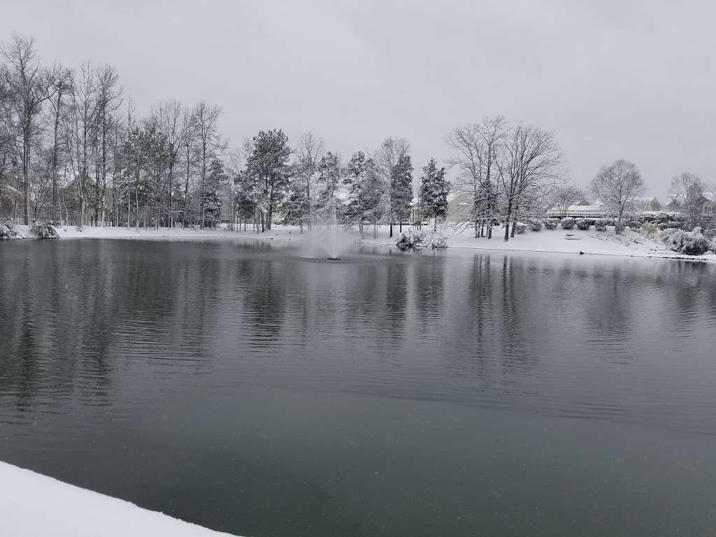 Allosaurus Pond | Charlotte, NC 28262, USA