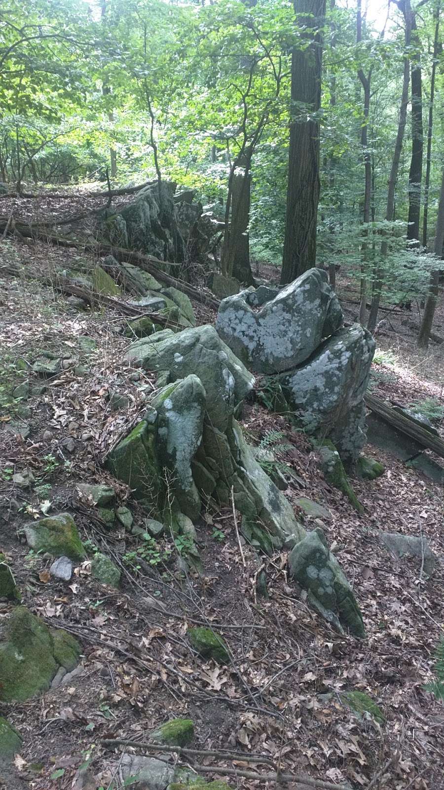 Diamond Rock Preserve | Chautauqua Trail, Malvern, PA 19355, USA