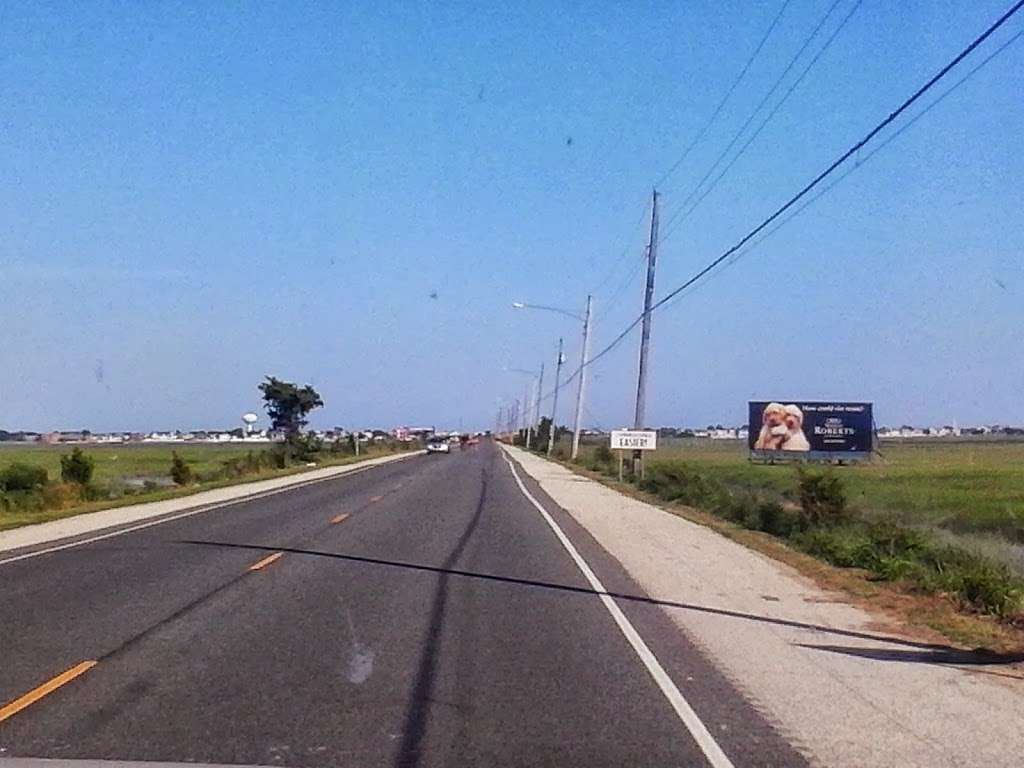 Pork Island Wildlife Management Area | Longport, NJ 08403, USA