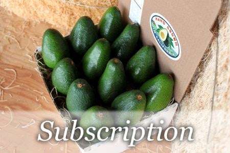 California Avocados Direct | 9370 Circle R Dr, Escondido, CA 92026, USA | Phone: (844) 286-7447