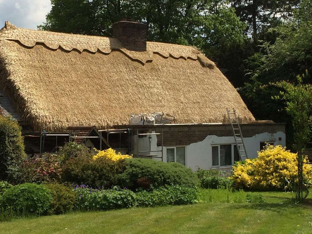 LDthatching | 39 Rowley Mead Thornwood, Epping, Thornwood, Epping CM16 6NH, UK | Phone: 07974 766287