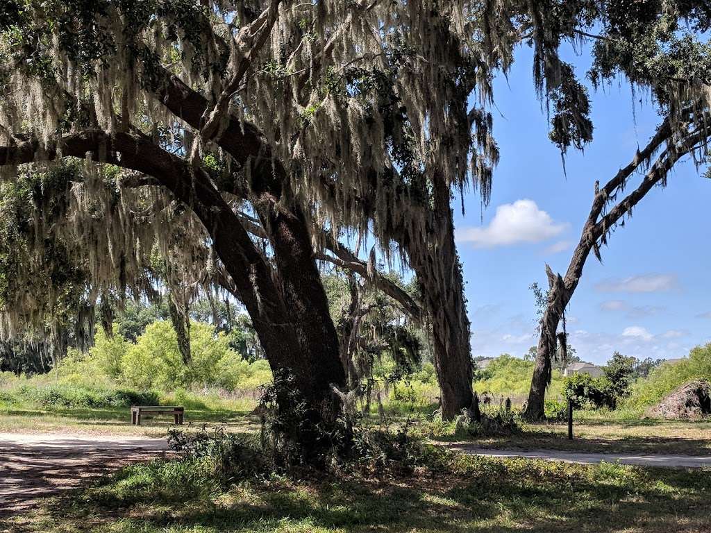 Johns Lake Conservation Area | 880 Avalon Rd, Winter Garden, FL 34787, USA