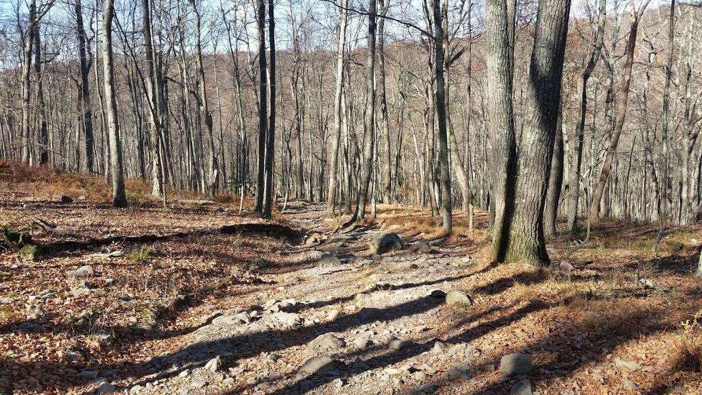 Mt Tammany Red Dot Trail | Kittatinnies Region, Hardwick Township, NJ 07825, USA