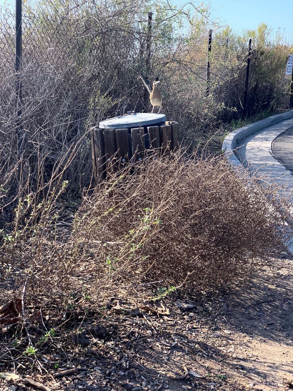 Los Trancos Parking Lot | Unnamed Road, Newport Coast, CA 92657, USA