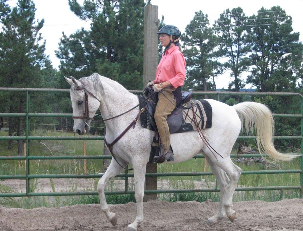 EquesTraining | 11063 Sheffield Ct, Parker, CO 80134, USA | Phone: (720) 785-0980