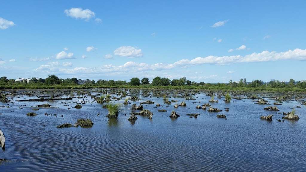 Mill Creek Marsh Trail | Mill Creek Marsh Trail, Secaucus, NJ 07094, USA