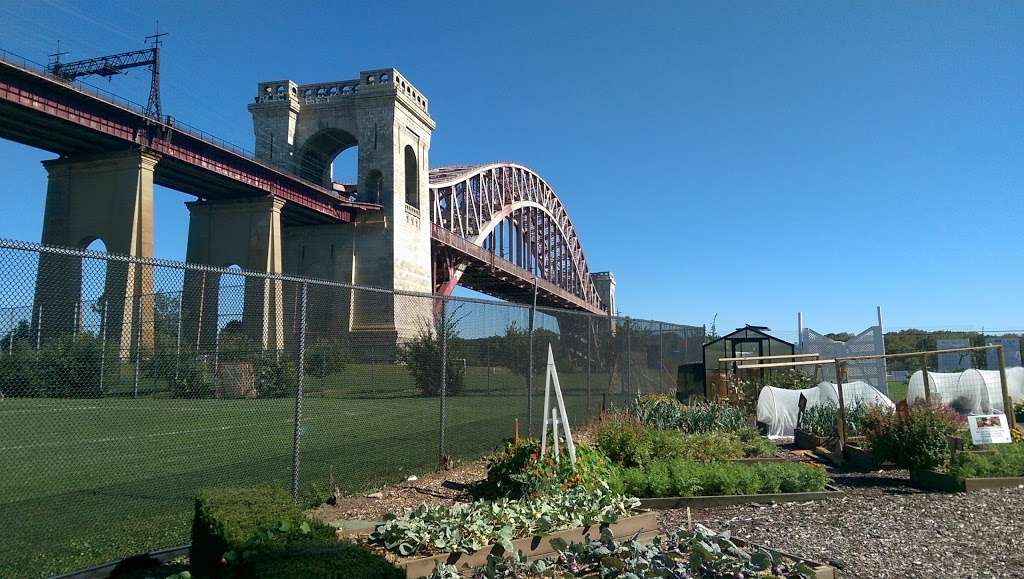 Randalls Island Urban Farm | Wards Meadow Loop, New York, NY 10035, USA | Phone: (212) 860-1899