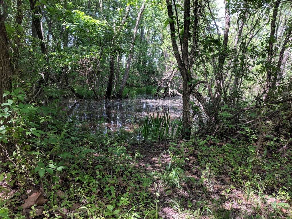 Julie J. Metz Neabsco Creek Wetlands Preserve | 15875 Neabsco Rd, Woodbridge, VA 22191, USA | Phone: (703) 499-9812
