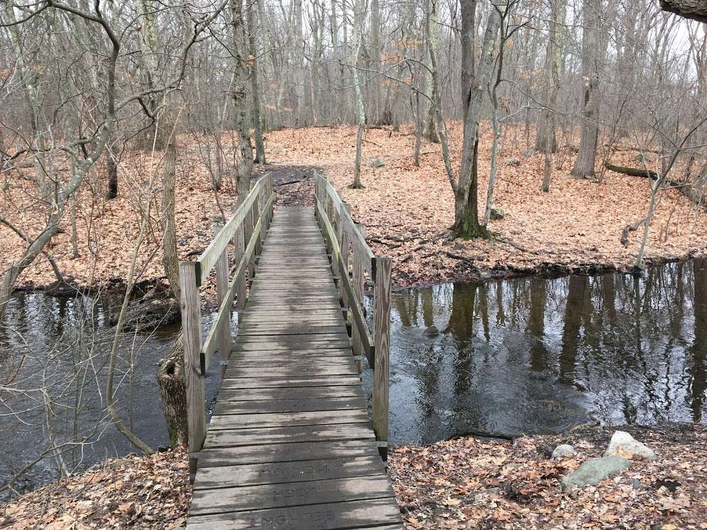 Rock Meadow Conservation Area | Belmont, MA 02478, USA