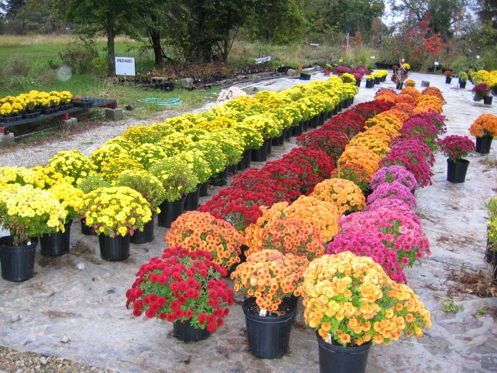 The Flower Farm | 20335 S Moonlight Rd, Gardner, KS 66030, USA | Phone: (913) 856-8517