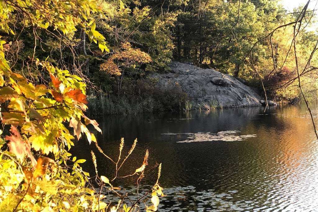 Sheepfold Park-Middlesex Fells Reservation | Soap Box Derby Track, Stoneham, MA 02180, USA | Phone: (617) 727-1199 ext. 406