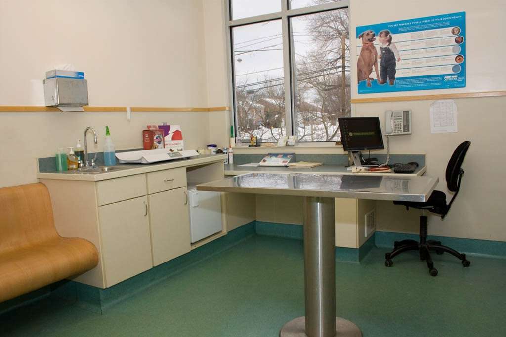 VCA Old Marple Animal Hospital | 820 W Springfield Rd, Springfield, PA 19064, USA | Phone: (610) 328-1300