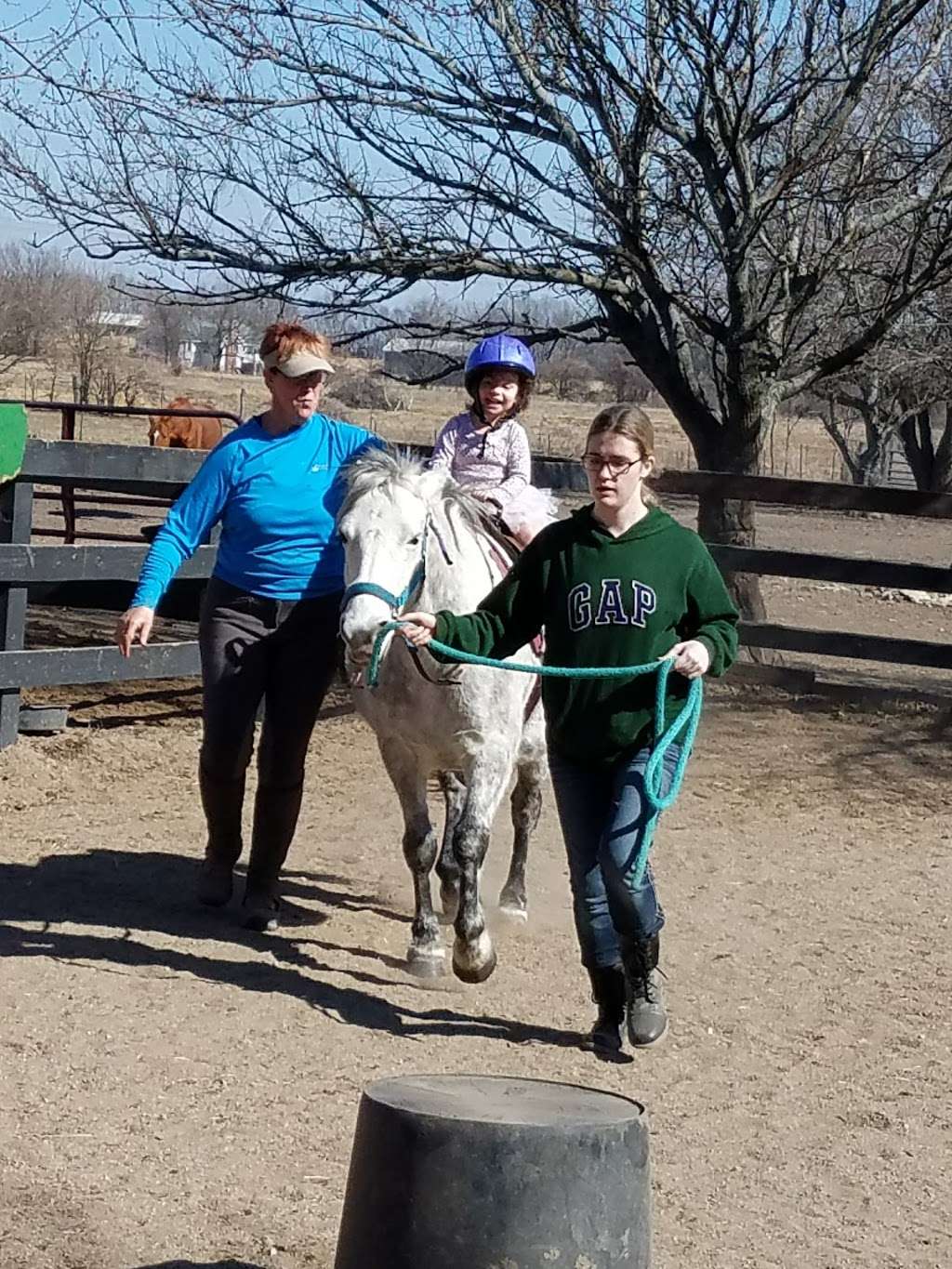 Sugar Creek Equinapy Therapeutic Riding Center | 23705 MO-7, Harrisonville, MO 64701, USA | Phone: (816) 824-4968