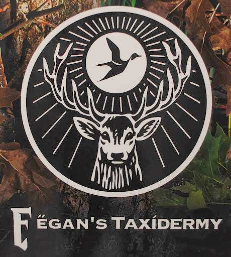 Fegans Taxidermy | 3660 Muddy Creek Rd, Edgewater, MD 21037, USA | Phone: (410) 798-5656