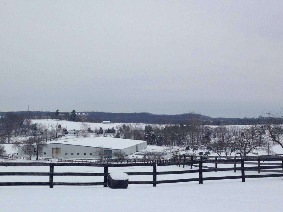 Miran Farm | 21500 Miran Farm Ln, Aldie, VA 20105, USA | Phone: (703) 777-8312