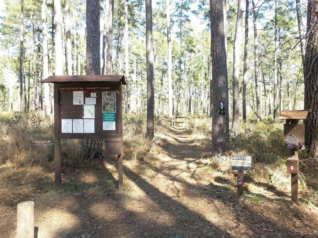 Lone Star Hiking Trail | Lone Star Hiking Trail, Richards, TX 77873, USA | Phone: (936) 344-6205