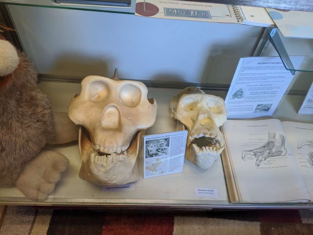 Bigfoot Discovery Museum | 5497 Hwy 9, Felton, CA 95018, USA | Phone: (831) 335-4478