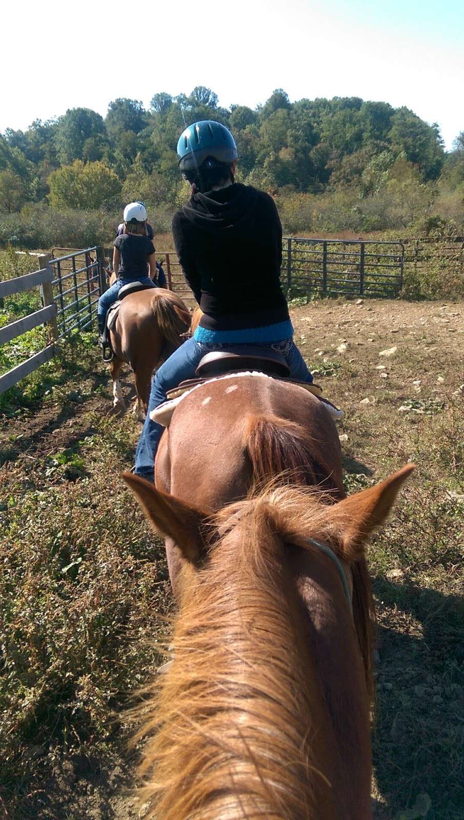 Marriott Ranch Trail Rides | 4439 Fiery Run Rd, Linden, VA 22642, USA | Phone: (540) 364-3741