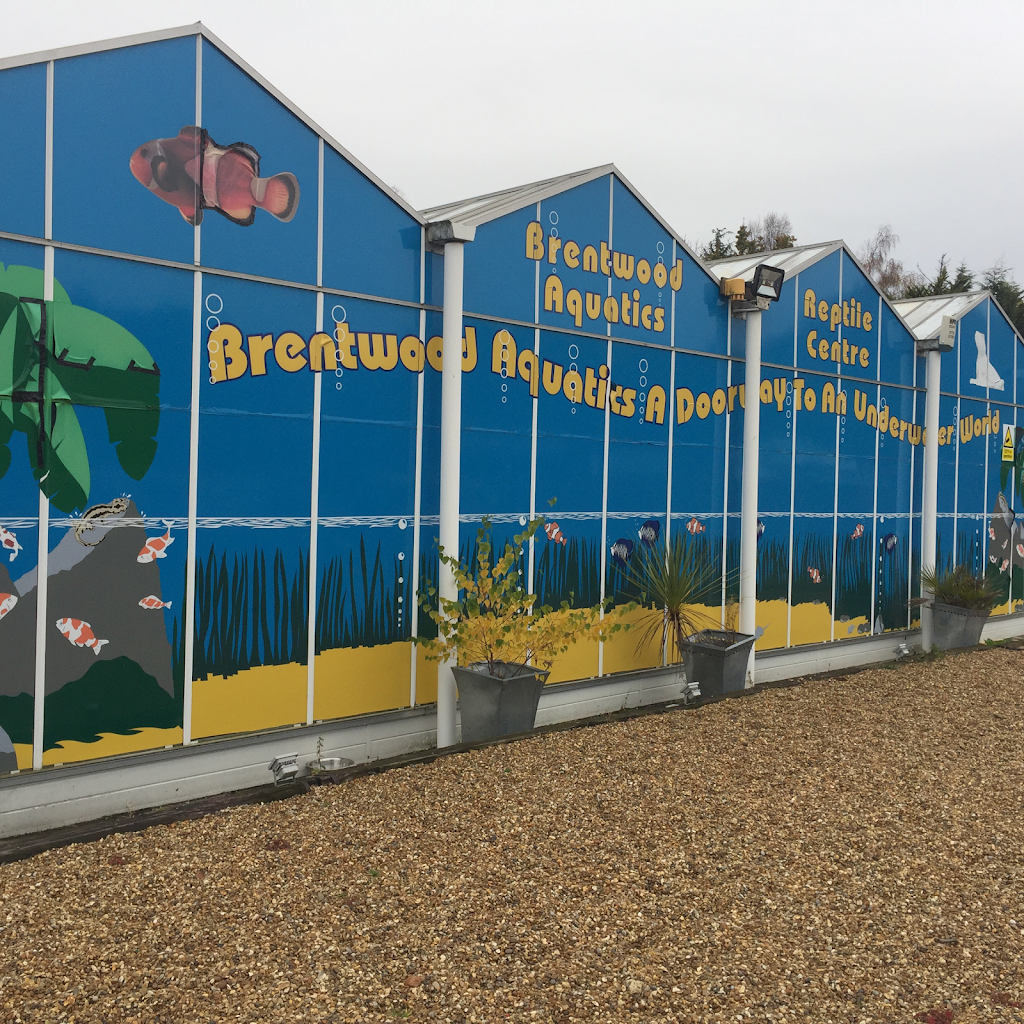 BRENTWOOD AQUATICS | Ongar Rd, Kelvedon Hatch, Brentwood CM15 0JX, UK | Phone: 01277 295488