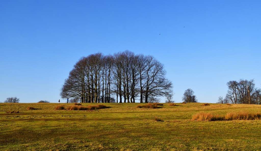 Knole Park Pedestrian Entrance Alpha | Unnamed Road, Sevenoaks TN15 0HU, UK