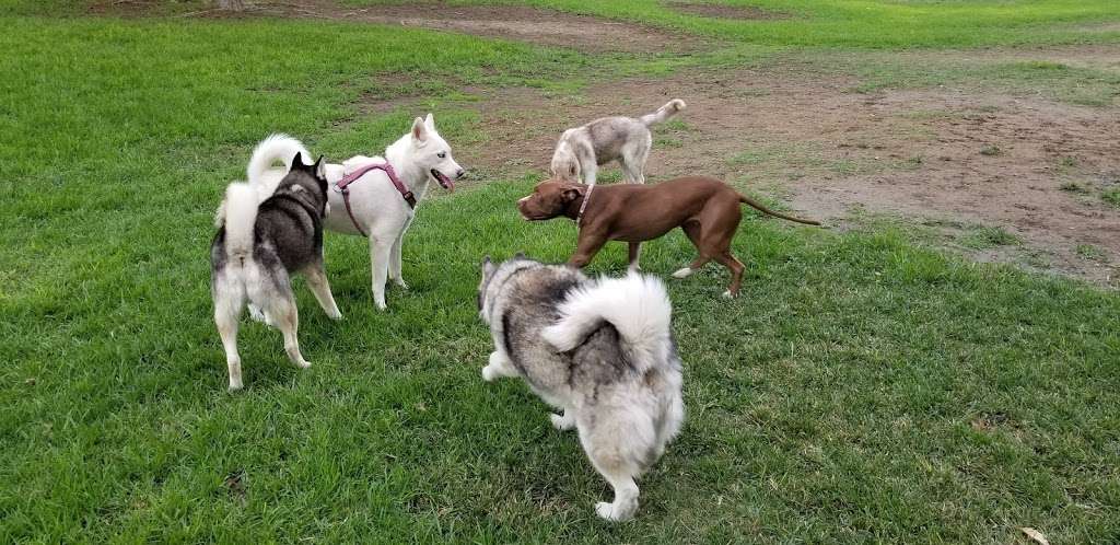 Carlson Bark Park | Mission Inn Avenue & Scout Ln, Riverside, CA 92501, USA | Phone: (951) 826-2000