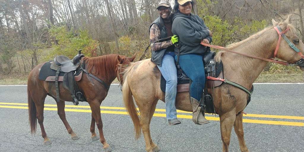 Cheltenham Wildlife Management Area | Crain Hwy, Upper Marlboro, MD 20772, USA | Phone: (301) 743-5161