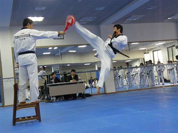 Master Chois World Champion Tae Kwon Do | 21020 Highland Knolls Dr Suite D, Katy, TX 77450, USA | Phone: (832) 321-3354