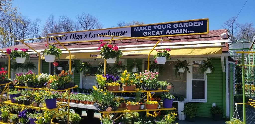 Dutch & Olgas Greenhouse | 1285 NJ-36, Hazlet, NJ 07730, USA | Phone: (732) 888-4808