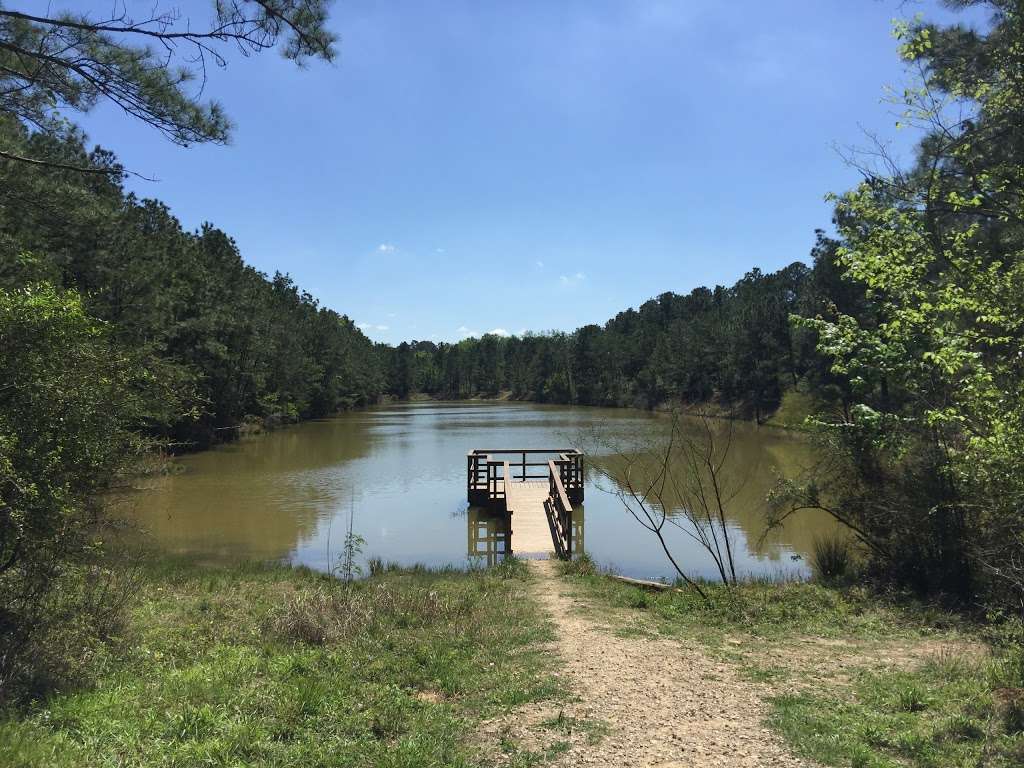 Timber Lane Hike & Bike Trail | 22700 Lemon Grove Dr, Spring, TX 77373, USA | Phone: (281) 353-8100