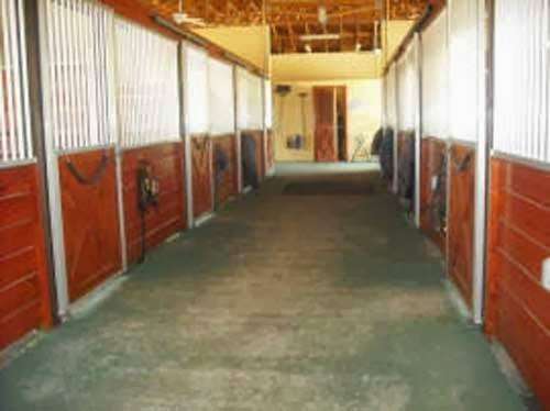 Equestrians First Place | 11128 Sunset Blvd, Royal Palm Beach, FL 33411, USA | Phone: (561) 827-6681