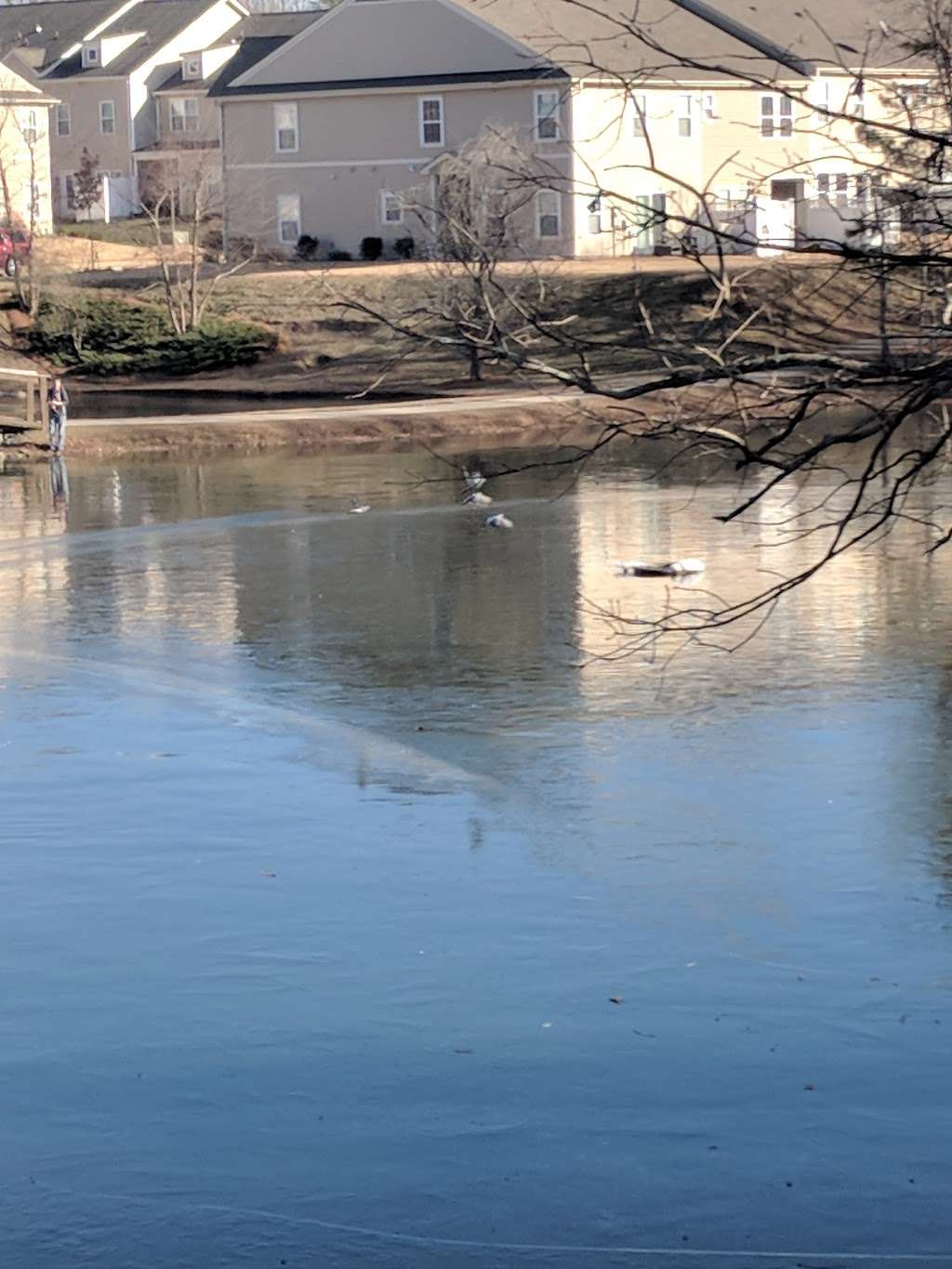 Allosaurus Pond | Charlotte, NC 28262, USA