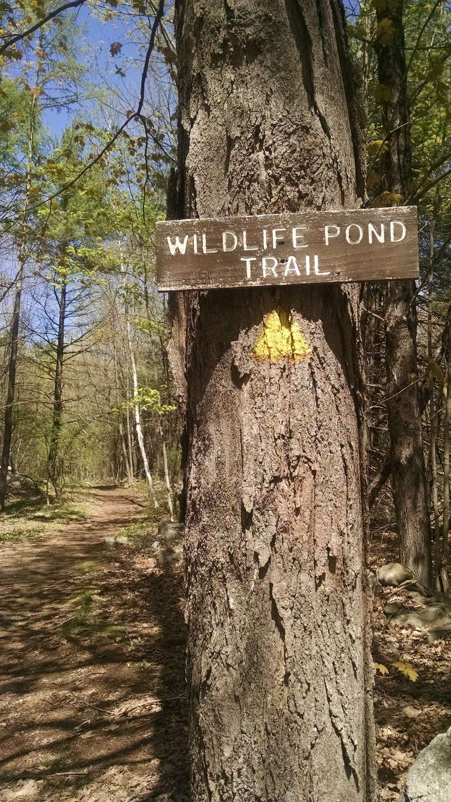 Beaver Brook Association trailhead | Hollis, NH 03049, USA